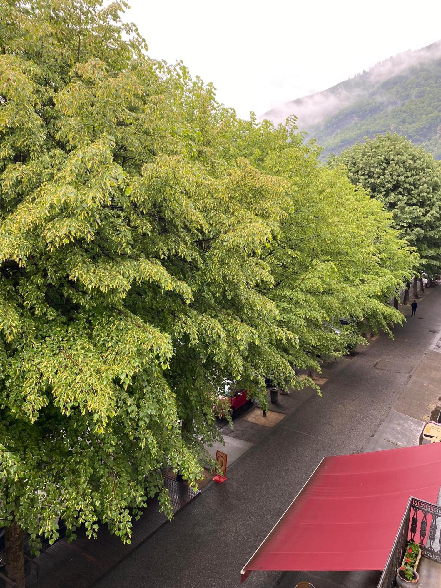 Au 47 Allees D'Etigny - Central & Standing - Avec Parking - Linge De Lit Et De Toilette Inclus Bagneres-de-Luchon Экстерьер фото